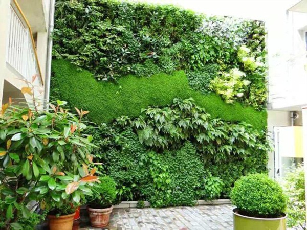 別墅庭院植物墻