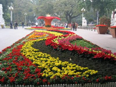 城市廣場(chǎng)草花項(xiàng)目