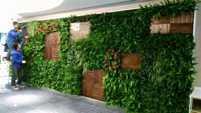 公司大廳植物墻
